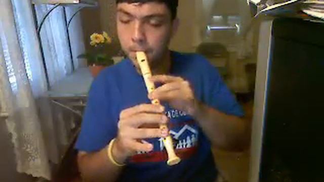 Sonic The Hedgehog - Green Hill Zone on recorder смотреть онлайн