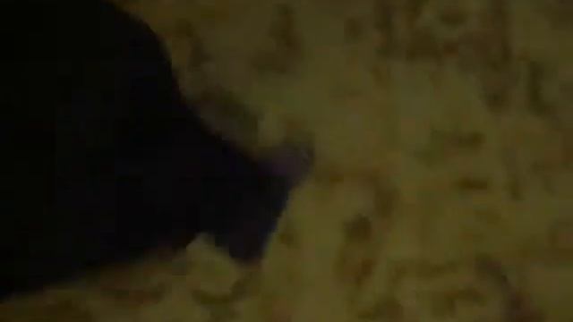 МОЙ ТЕКТОНИК НАЧАЛО.wmv смотреть онлайн