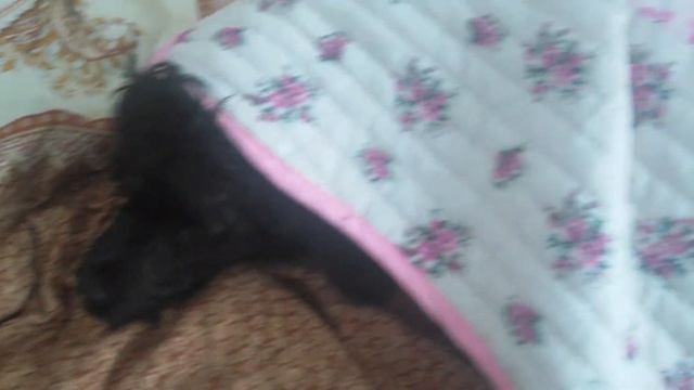 Вот оно счастье или что происходит дома, когда вы на работе))) смотреть онлайн