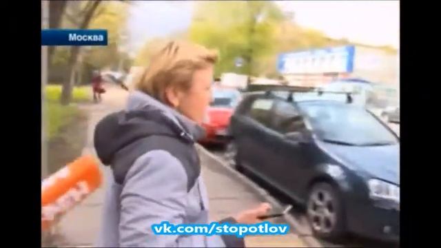 Замурованные в подвале кошки смотреть онлайн