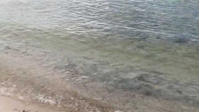 Good morning ❤️ ASMR ☀️🏖 Florida смотреть онлайн