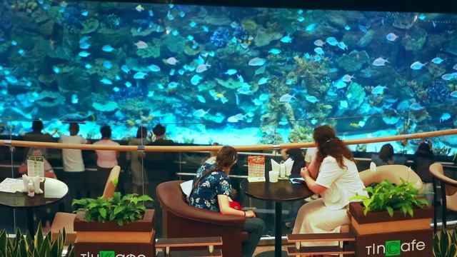 Wellcome to Ocean plaza смотреть онлайн