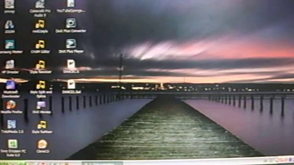 В.Шурочкин. Вирджиния.