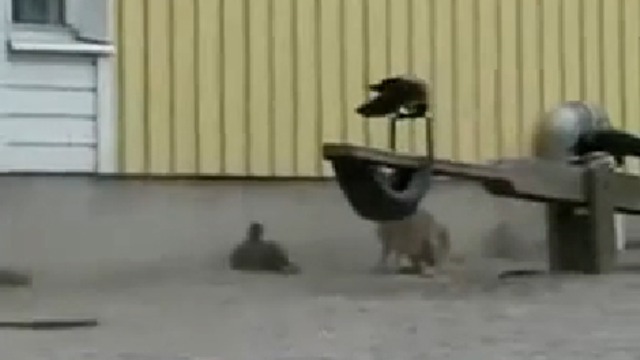 Злобный заяц смотреть онлайн