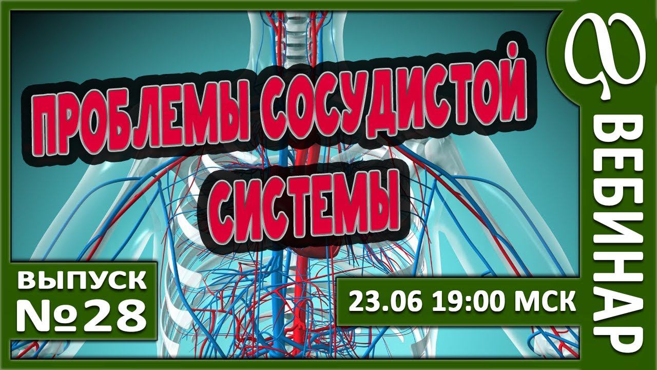 ВЕБИНАР №28. ПРОБЛЕМЫ СОСУДИСТОЙ СИСТЕМЫ. смотреть онлайн