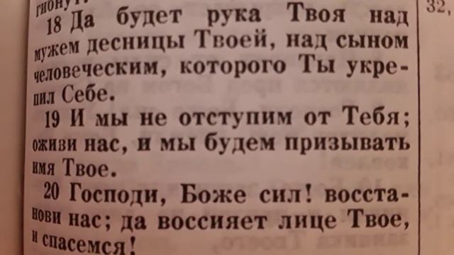 5 Песня Псалом 79 : 18 - 20. Да будет рука Твоя над мужем десницы Твоей .... смотреть онлайн