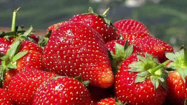 Клубника - Самые вкусные и урожайные сорта 2019 смотреть онлайн