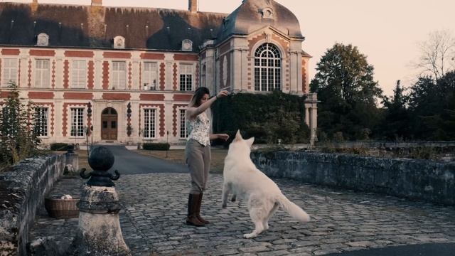 French Chateau Renovations  |  Planning Our Chateau Garden And Office
