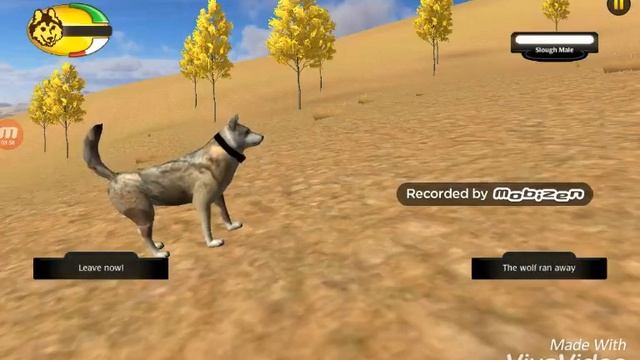 WolfQuest как завести пару и семью смотреть онлайн