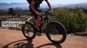 Bafang X Silverback | S-Electro Fat powered by a Bafang M400 system