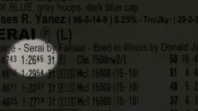 Media Eclipse Award - Video Term Submission #2 "Past Performances" смотреть онлайн