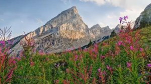 Автобиография йога Аудиокнига  Часть 2