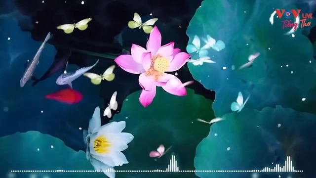 Tiếng Thơ Đêm Khuya Tố Hữu - Thúy Mùi Hay Nhất | Ngâm Thơ Đêm Khuya Đài Tiếng Nói Việt Nam смотреть онлайн