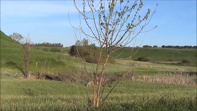 с.Щекино и окрестности.09/05/2014 смотреть онлайн