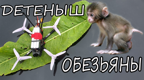 DarwinFPV Baby Ape  PRO - честный обзор!