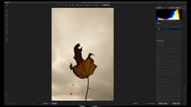 Remove Objects In ON1 Photo Raw - ON1 Tutorial смотреть онлайн