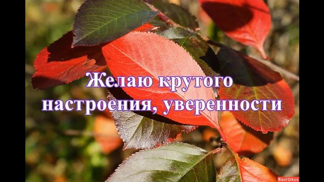 Доброго воскресного дня!#сдобрымутромихорошимднем#воскресенье смотреть онлайн