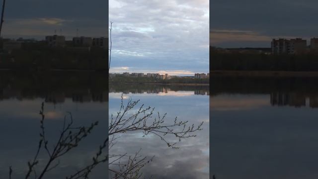 Встреча с хохлатой уткой на закате дня смотреть онлайн