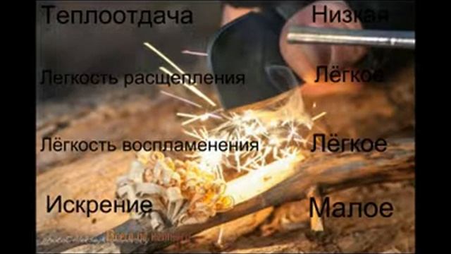 Характеристики горения дров из различных пород дерева.часть третья. Заходите смотрите подписывайтес смотреть онлайн