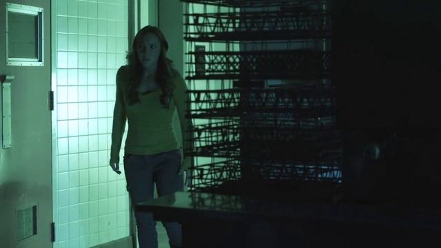 Wrong Turn 4 (2011) Film Explained in Hindi/Urdu | Wrong Turn Bloody Beginnings Explained In Hindi. смотреть онлайн