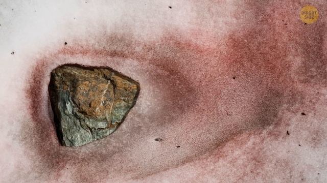 10 Intriguing Finds from Frozen Places смотреть онлайн