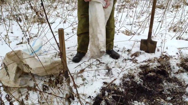 Лучший грунт для рассады. Где взять ИДЕАЛЬНЫЙ ГРУНТ ДЛЯ РАССАДЫ на Халяву. #грунт_для_рассады смотреть онлайн