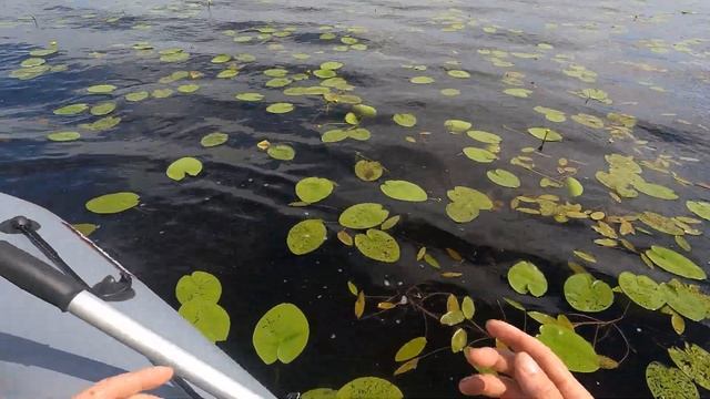 РЫБАЧИМ С ДЕНИСКОЙ И ТАМАЗ ТАМАЗЫЧЕМ смотреть онлайн