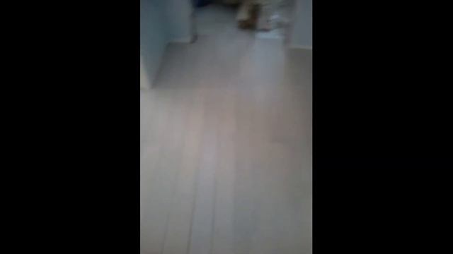 Покрыть деревянный пол Маслом Воском ЦЕНА . Киев и Область. смотреть онлайн