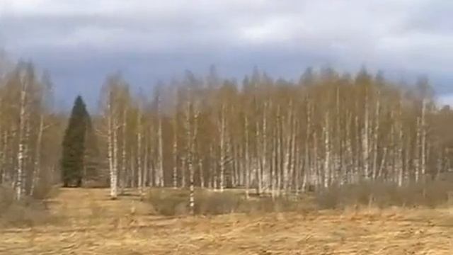 Поход на родину композитора Глинки. Новоспасское. смотреть онлайн