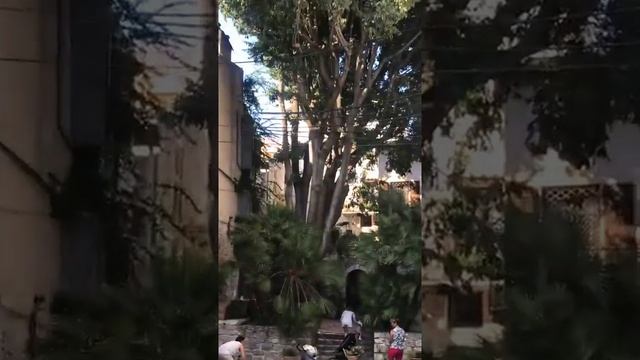 Антиб. Экскурсия. смотреть онлайн