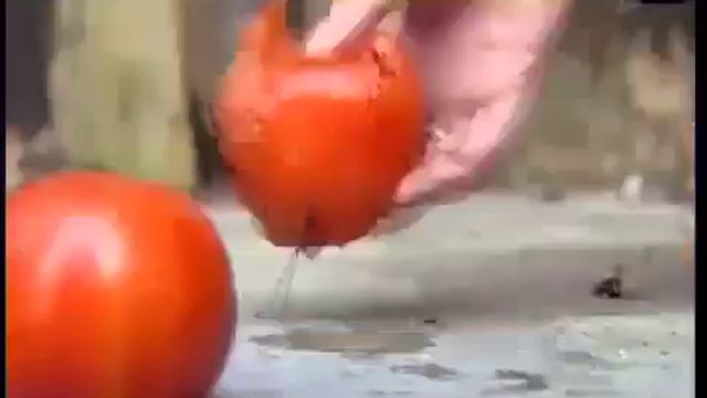 Как нас травят овощами и фруктами ! Вся правда ! смотреть онлайн