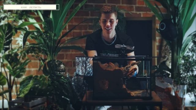 ТЕРРАРИУМ В СТИЛЕ ИГРЫ В КАЛЬМАРА СВОИМИ РУКАМИ | ПОДРОБНЫЙ ГАЙД ПО СОЗДАНИЮ КУЛЬТОВОГО ДИЗАЙНА смотреть онлайн