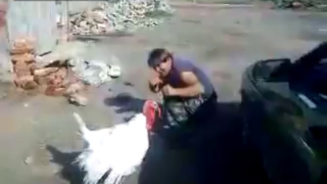 Индюк vs мужик смотреть онлайн