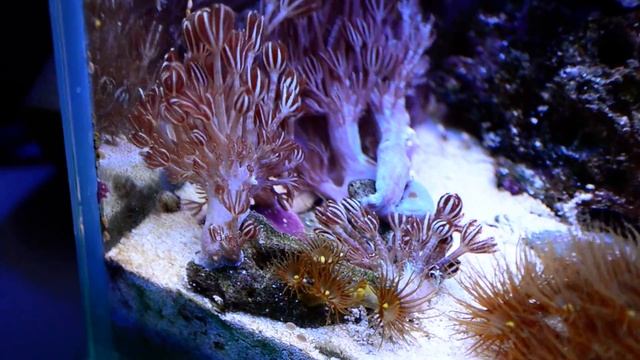 DSC 0059 смотреть онлайн