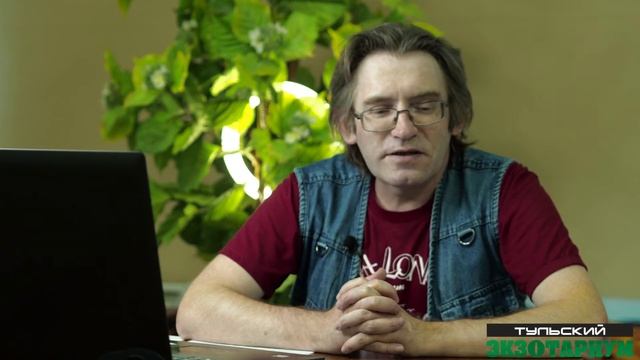 КРАСНАЯ КНИГА ТУЛЬСКОЙ ОБЛАСТИ. ОДОЕВСКИЙ РАЙОН. смотреть онлайн