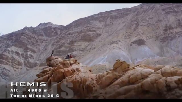 All - New SAFARI | Quest for the Ghost смотреть онлайн