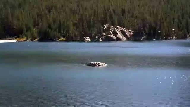 MUSIC RELAXATION - FOR SLEEP, MEDITATION, YOGA смотреть онлайн