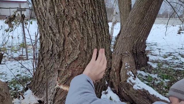 Насадка на болгарку, цепная пила / Как она в деле? смотреть онлайн