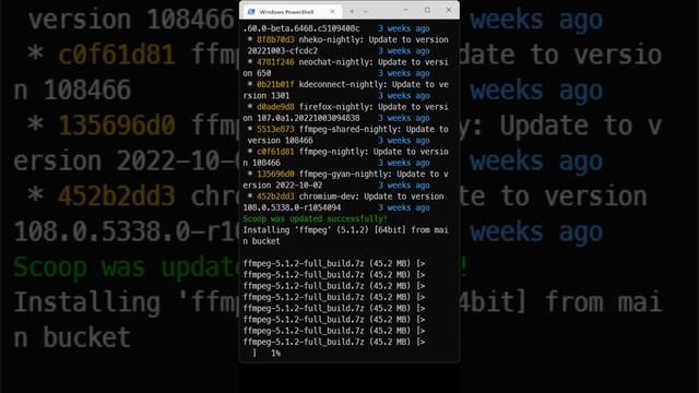 How to download ffmpeg using scoop ( windows 11) смотреть онлайн
