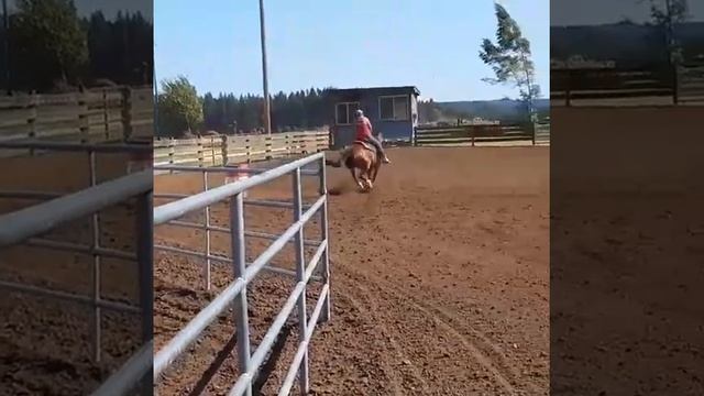 DD Practice Run Rockin Horse Arena 7/21