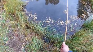 Дети ловят рыбу.  Подрастает смена рыбаков