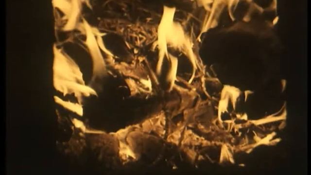 Новые стансы к Августе. И.Бродский, 1964. Норенская смотреть онлайн