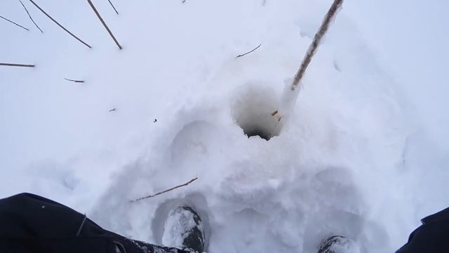 ПОД ЭТИМИ КУСТАМИ, Рыба ОТРЫВАЕТ безмотылки! Рыбалка зимой со льда смотреть онлайн