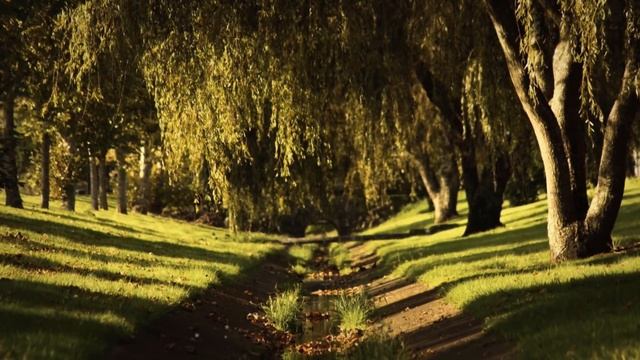 Bedtime Sleep Stories | ? Knight Lancelot and Guinevere ? | Romantic Sleep Story for Grown Ups смотреть онлайн