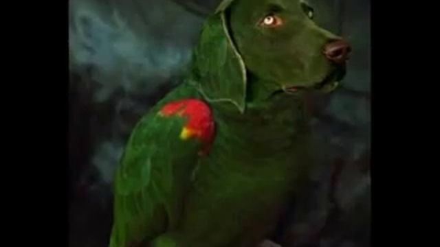 photoshopped images 3: animals смотреть онлайн
