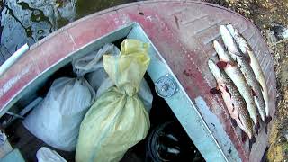 РЫБАЛКА для ДУШИ.mp4 смотреть онлайн