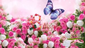 Футаж 8 МАРТА - с Международным женским днем!