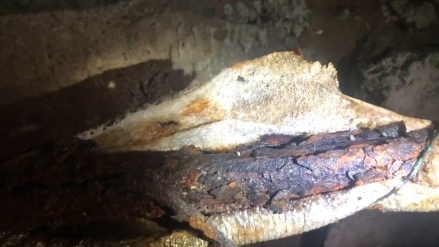 Только ли в подвале крысы? смотреть онлайн