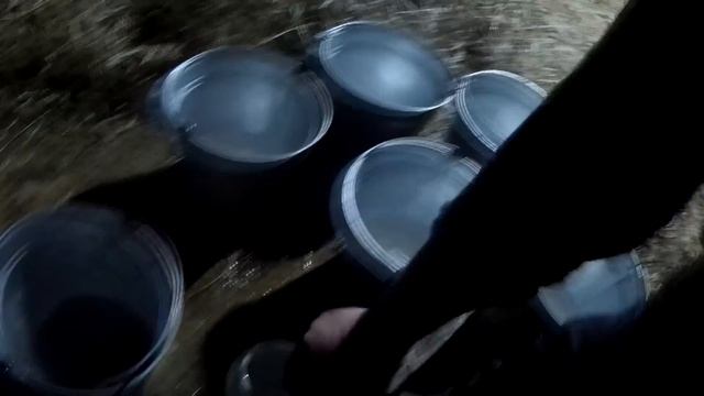 Наши купленные бычки 8 дней спустя. Мой отзыв о них. Рацион кормления смотреть онлайн