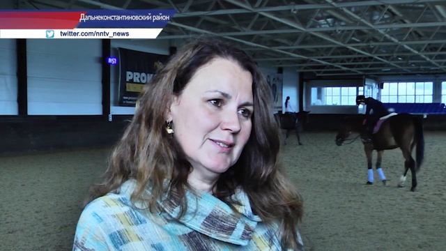 Чистокровных арабских скакунов выращивают в Нижегородской области смотреть онлайн
